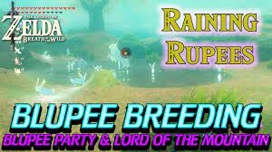 Zelda Breath of the Wild - Blupee Extravaganza and Lord of the Mountain -  YouTube