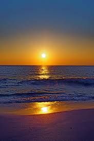 Pelican At Melbourne Beach Fl Photo By Rick Quot Rozz Quot Delillo Florida Living Endless Summer Beachy Melbourne Beach Florida Getaway Florida Living