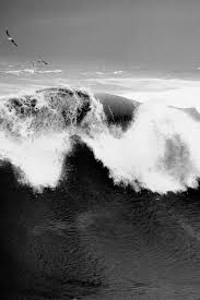 Black And White Pictures Of Ocean Waves Megue Brazil Sea And Ocean Photo Ocean Waves