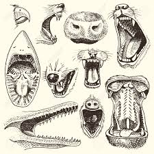 Animals With Open Mouth Vector Heads Of Roaring Animals Angry Lion Or Crocodile And Aggressive Shark Illustr Shark Illustration Animal Sketches Animal Drawings