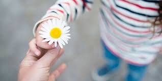 Random acts of flowers kit. Random Acts Of Kindness Day Planning Guide