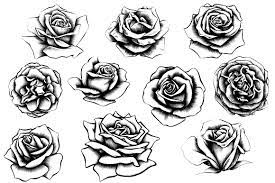 Pin By Elizabeth Matheny On Tattoo Realistic Rose Tattoo Rose Illustration Tattoos