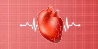 इको टेस्ट यह क्यों किया जाता है, ईसीजी बनाम इकोकार्डियोग्राफी, परिणाम और  बहुत कुछ - MyHealth