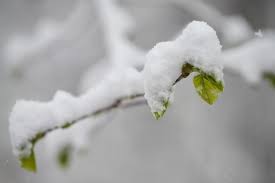 Is snow in Denver still possible this season?