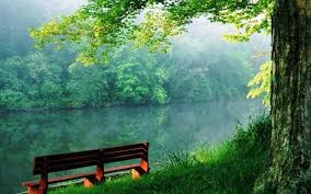 Download serene nature photos the secret to creating a great online experience is to capture and hold the attention of your customer. Green Nature Hd Wallpaper For Android Apk Download