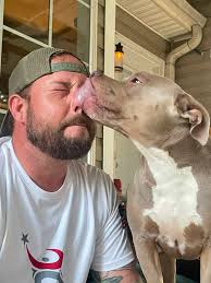 Soft and chewy chocolate kiss cookies recipe