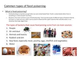 But, there are other types of. Common Causes Of Food Contamination Ppt Download