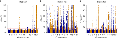 In addition, the red keeps its pigments longer and delays the appearance of white hair. Genome Wide Study Of Hair Colour In Uk Biobank Explains Most Of The Snp Heritability Nature Communications