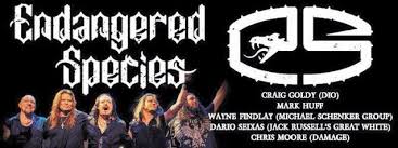 Endangered Species live project image