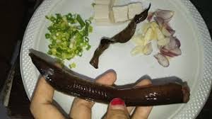 Cra mngolh belut mnjd mp asi : Mpasi Belut Resep Tumis Belut Youtube