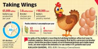 Poultry Market Likely To See Double Digit Growth In 2015