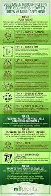 This is my first year having a true garden, and so far i'm loving the time i get outside playing in the dirt and absorbing the sunshine, but i desperately needed some gardening tips and ideas. Vegetable Gardening Tips For Beginners How To Grow Almost Anything Mo Plants