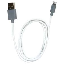 Apple Certified Iphone Lightning Usb Cable 10 Ft Delivered In Minutes