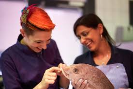 Gastköchin in der sendung alte schule in mohrkirch. Out With Meta Hiltebrand From The Markets To Her Kitchen In Le Chef