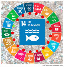 The aim of this resolution is to achieve. Micro Plastics And The Un Sustainable Development Goals Sciencedirect