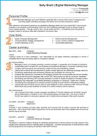 Marketing Cv Good Cv Resume Format In Word Curriculum Vitae Examples