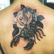 Epingle Sur Neha Nicolas