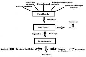 Natural Products In Drug Discovery Intechopen