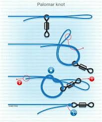 Palomar Fishing Knots Palomar Knot Fly Fishing Knots