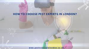 Pest expert is the uk's leading supplier of professional pest control products for amateur use. Pest Expert In London Contact To Get Rid Of Pests Pest Exterminators