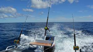 We did not find results for: Game And Sport Fishing New Zealand
