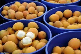 The antioxidant action also limits the accumulation of cholesterol in the arteries, thus bringing benefits also to the coronary arteries, and. Achacha The Low Sugar Fruit Could Be The Next Superfood And Is Grown In Australia Daily Mail Online