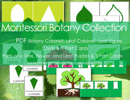 Montessori Botany Collection Pdf