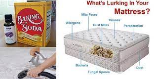 Nettoyer matelas bicarbonate de soude. Nettoyer Un Matelas Avec Du Bicarbonate De Soude Quebec Echantillons Gratuits