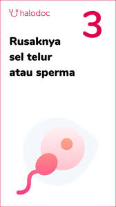 Padahal, dalam kasus tertentu, aborsi bisa jadi pilihan terbaik untuk ibu dan janin di dalam kandungan. Berpotensi Menggugurkan Kandungan Ini Makanan Yang Perlu Diwaspadai