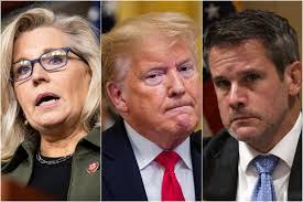 Trump's Display of MAGA Lapel Pins Compared to Dictator Behavior