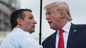 Donald Trump and Ted Cruz forge an unlikely 'bromance'