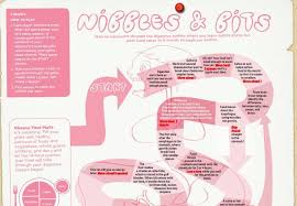 Pin By Homeschool Lounge On Science At Home Human Body Activities Digestive System Learning Science