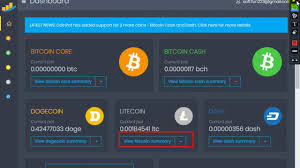 Faqs on bitcoin price prediction 1. Will Litecoin Go Up Like Bitcoin Hard Fork Bitcoin Mining Rigs Cheap