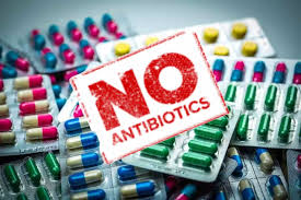 Antibiotics overuse linked to rising death toll, TS Govt issues advisory