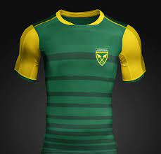 Amazulu baroka black leopards bloemfontein celtic cape town city chippa united golden arrows kaizer chiefs mamelodi sundowns maritzburg united orlando pirates stellenbosch supersport. Buy Lamontville Golden Arrows F C Football Shirts Club Football Shirts