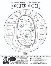 38+ spartan coloring pages for printing and coloring. Art Science Festival Michigan State University