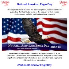 National American Eagle Day June 20 National Day Calendar National Calendar National National Day Calendar Pikpng encourages users to upload free artworks without copyright. national american eagle day june 20
