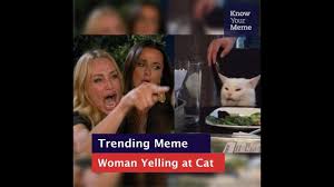 Know Your Meme 101 Woman Yelling At A Cat Youtube Holy grail crusaders yelling at a french cat meme. know your meme 101 woman yelling at a cat