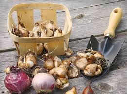 If the garden site is still grass, you can apply the lime or wood ash on top of the grass. Top 10 Tips To Prepare Your Garden For Spring Thompson Morgan