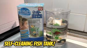 These plants make their environment seem. Self Cleaning Goldfish Tank Unboxing And Set Up Youtube