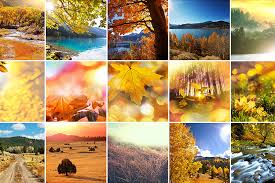 Befunky's collage maker gives you the tools to easily create photo collages. 30 Best Photo Collage Maker Apps In 2021