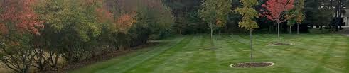 Have a lawn care questions, or need answers to your lawn care problems? Residential Lawn Services Professional Fertilization And Weed Control Jeremy S Lawn Service