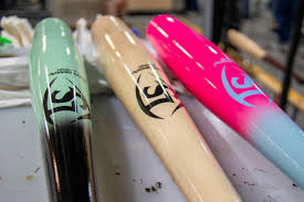 Adrian Hoyte Stats & Scouting Report