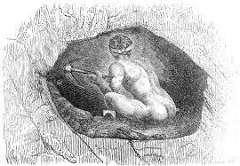 Image result for Out of brains, gas, wits, charms, dicks to points, layers of fat traded, good time, whales on land, rednecks, rejects, retards, escapees from the Big Apple, rotten nuts.
