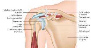 Schulterluxation Physiozentrum