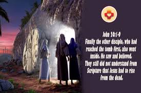 We did not find results for: Minggu 04 April 2021 Hari Raya Paskah Kebangkitan Tuhan Misa Minggu Pagi Resi Renungan Singkat Dehonian