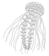 Line art design for adult colouring book with. Jellyfish Coloring Stock Illustrations 1 078 Jellyfish Coloring Stock Illustrations Vectors Clipart Dreamstime