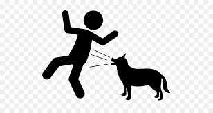 Breeders decided to give each of the different varieties of belgian shepherd dogs. Dog And Cat Png Download 640 480 Free Transparent Whiskers Png Download Cleanpng Kisspng