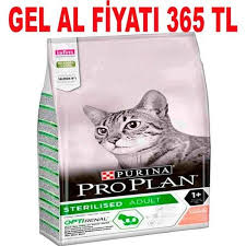 proplan sterilised somonlu kedi mamasi 10 kg 7613033566523 amazon pet center kedi hayvan amazonlar