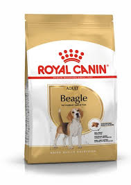 Beagle Adult Trocken Royal Canin De